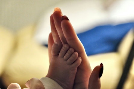 Adult hand holding a newborn baby's foot